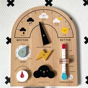 Moon Picnic Weather Station for kids